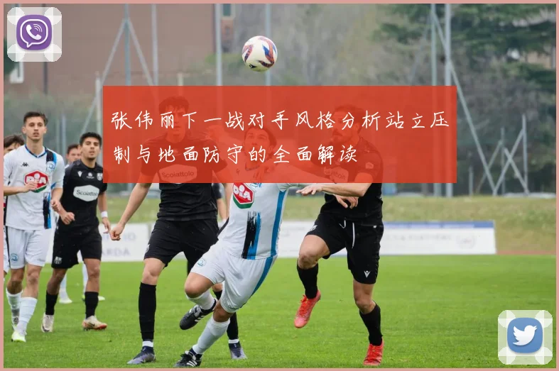 张伟丽下一战对手风格分析站立压制与地面防守的全面解读