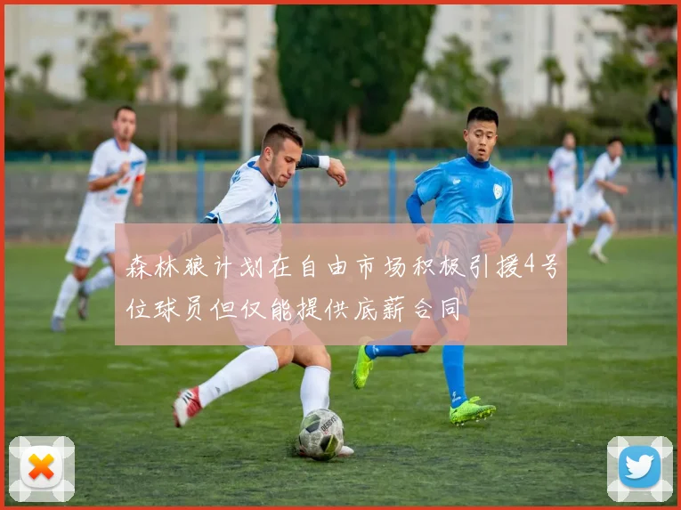 森林狼计划在自由市场积极引援4号位球员但仅能提供底薪合同